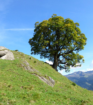 在线DDOS压力测试网页端