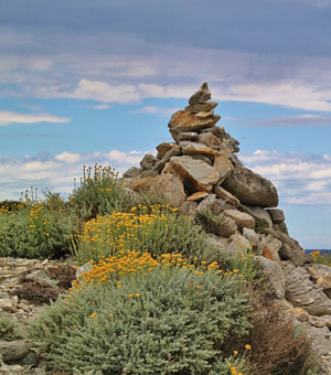 移动办公系统的网络ddos攻击软件